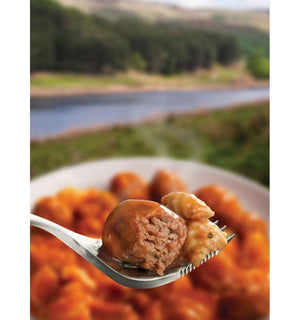 Wayfayrer Pasta and Meatballs Ready-to-Eat Camping Food (Single)